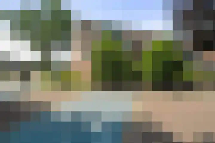 Hoocamp 1 Akersloot thumbnail 37