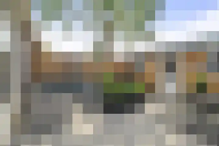 Hoocamp 1 Akersloot thumbnail 5