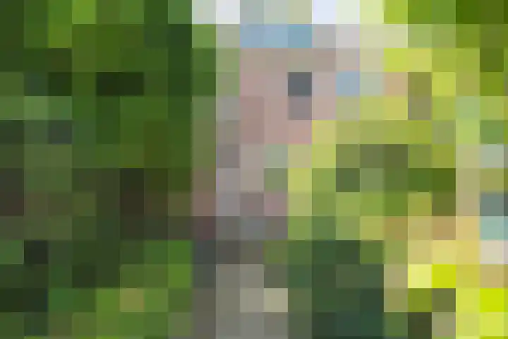 Hoocamp 1 Akersloot thumbnail 6