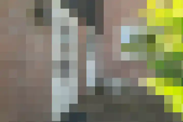 Hoocamp 1 Akersloot thumbnail 7