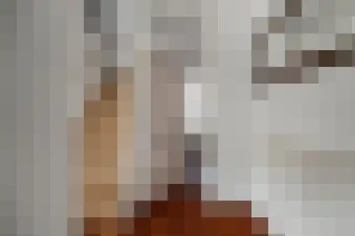 Hoocamp 1 Akersloot thumbnail 8