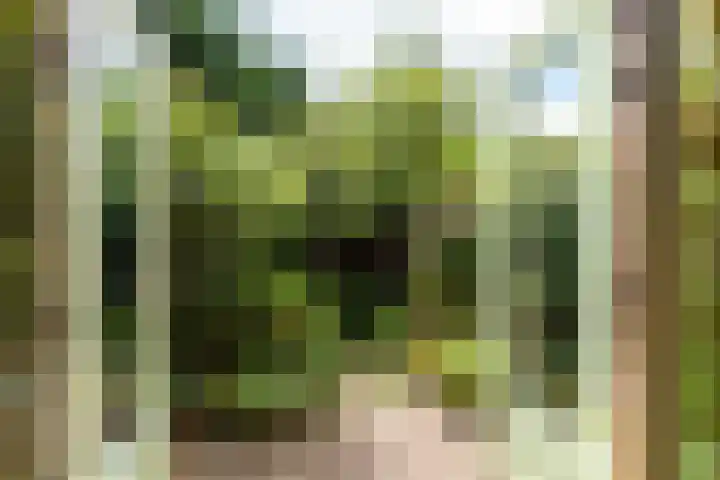 Hoocamp 33 Akersloot thumbnail 13