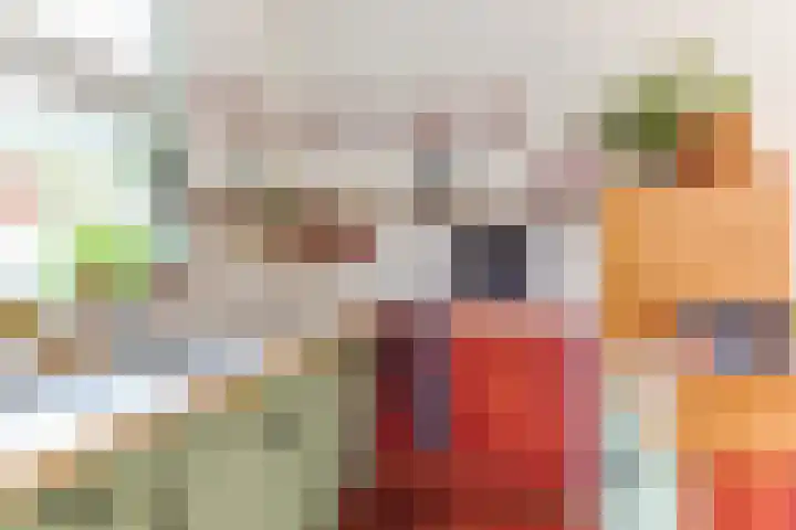 Hoocamp 33 Akersloot thumbnail 20