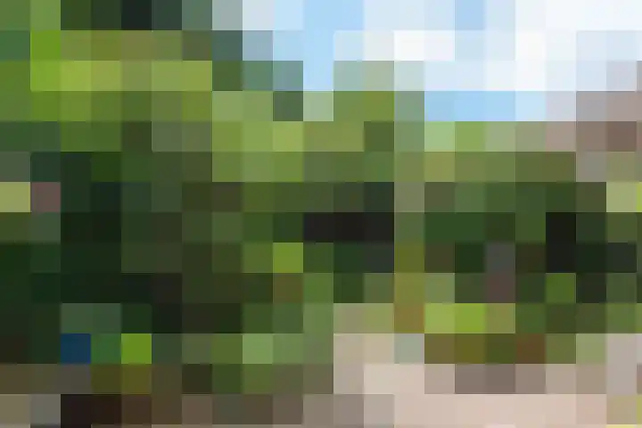 Hoocamp 33 Akersloot thumbnail 31