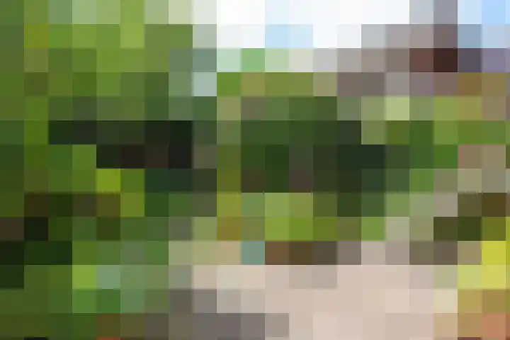 Hoocamp 33 Akersloot thumbnail 32