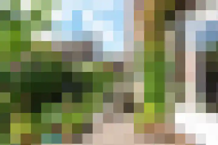 Hoocamp 33 Akersloot thumbnail 33