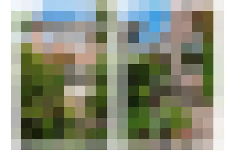 Hoocamp 33 Akersloot thumbnail 34