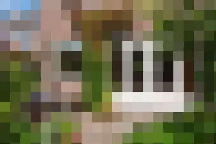 Hoocamp 33 Akersloot thumbnail 35