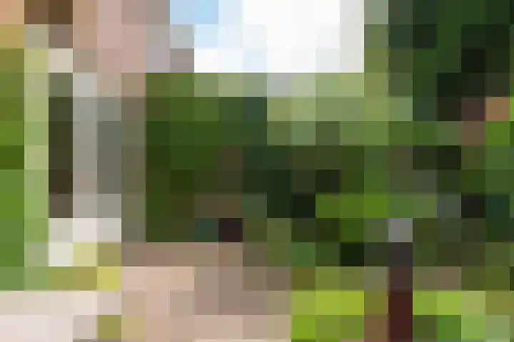 Hoocamp 33 Akersloot thumbnail 36