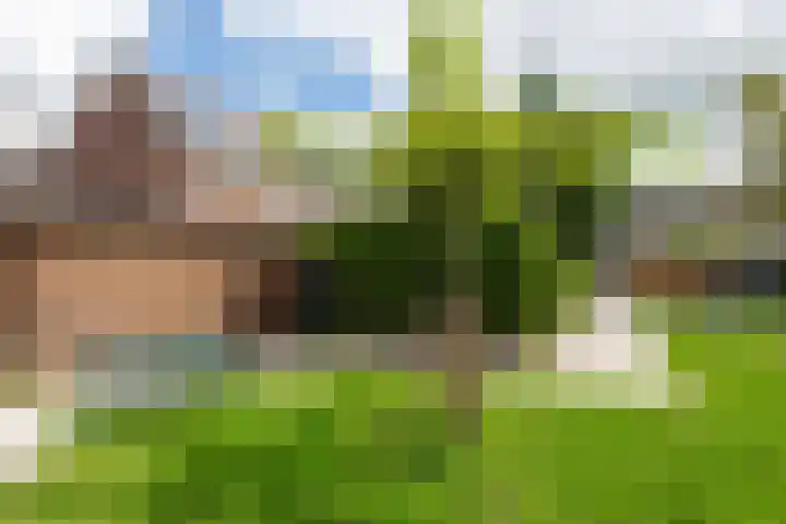 Hoocamp 33 Akersloot thumbnail 42