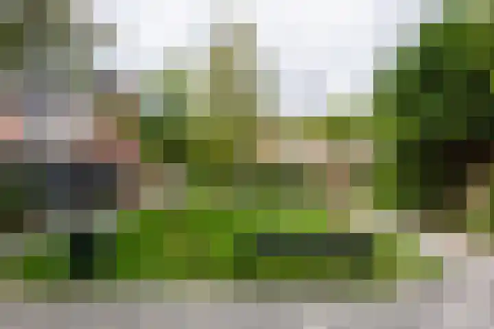 Hoocamp 33 Akersloot thumbnail 43