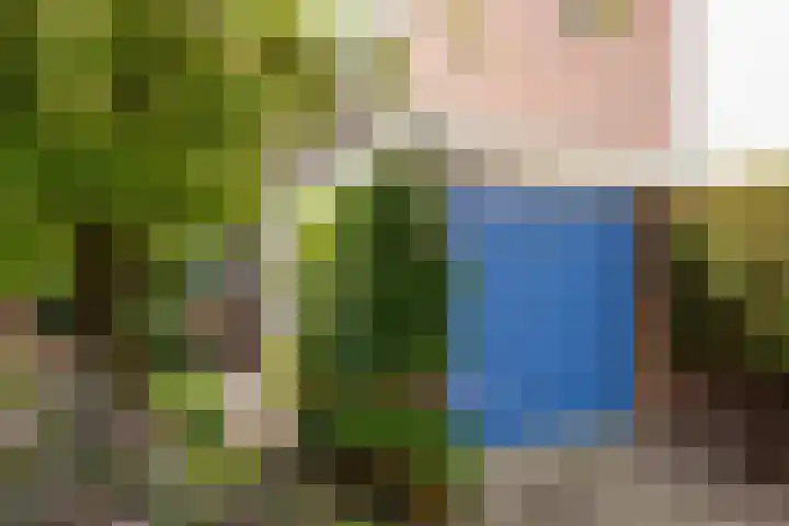 Hoocamp 33 Akersloot thumbnail 5