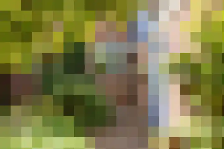 Hoocamp 33 Akersloot thumbnail 6
