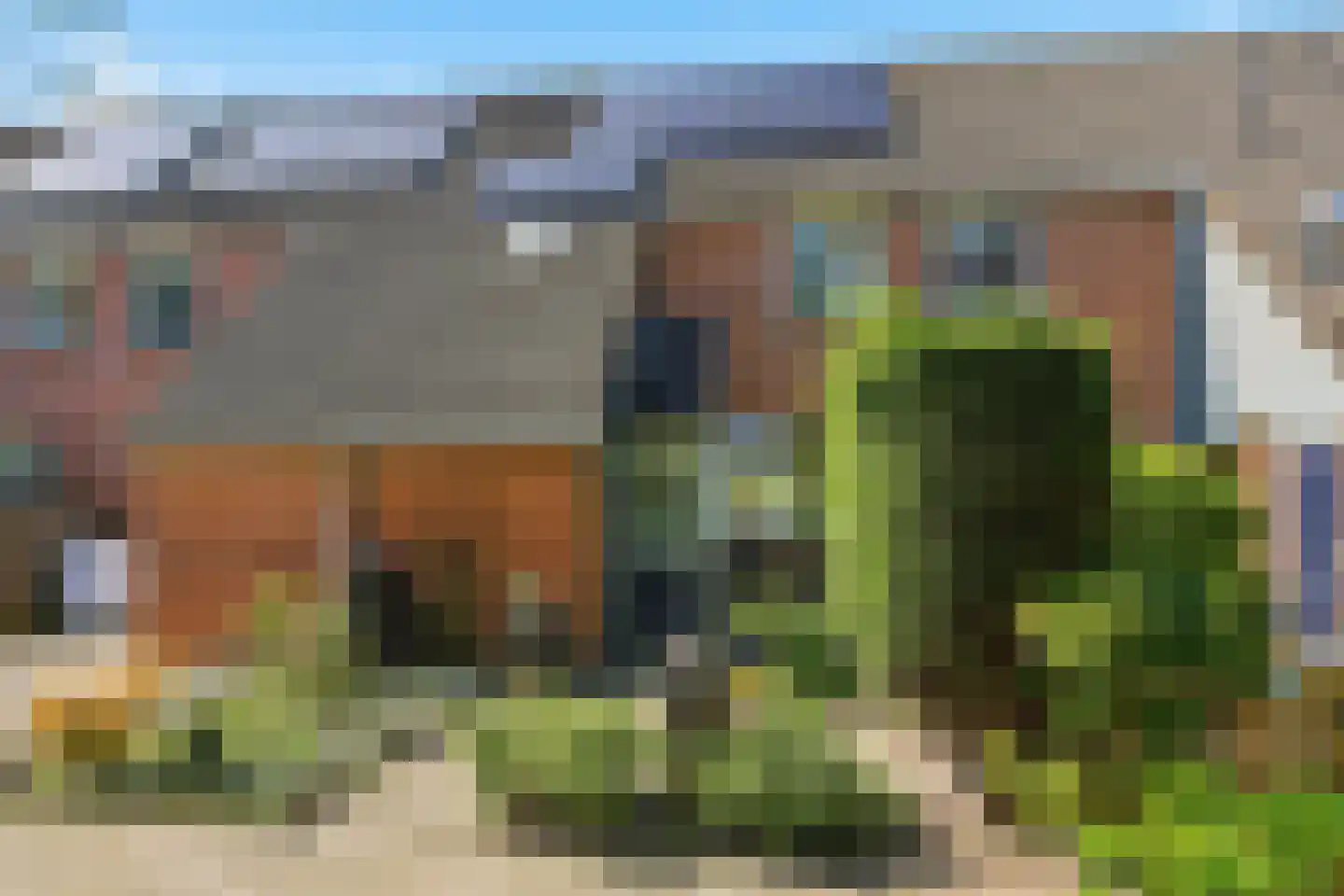 Hoocamp 44 Akersloot