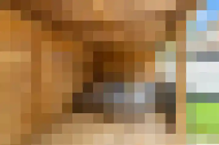 Hoocamp 66 Akersloot thumbnail 32