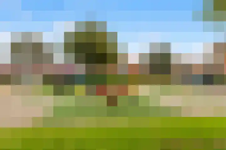 Hoocamp 66 Akersloot thumbnail 39