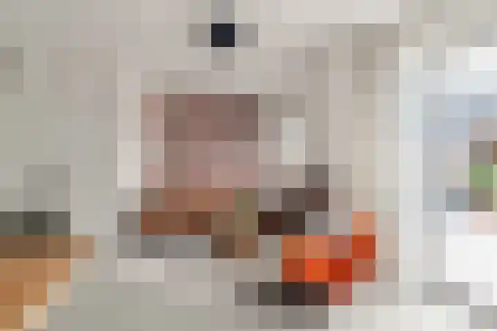 Hoocamp 66 Akersloot thumbnail 6