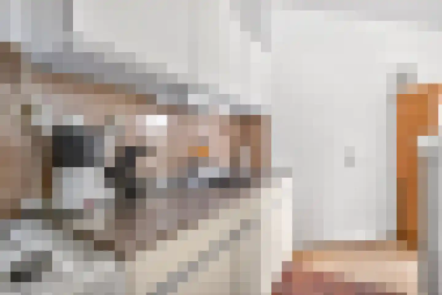 Hoochbeen 12 Veenendaal thumbnail 12