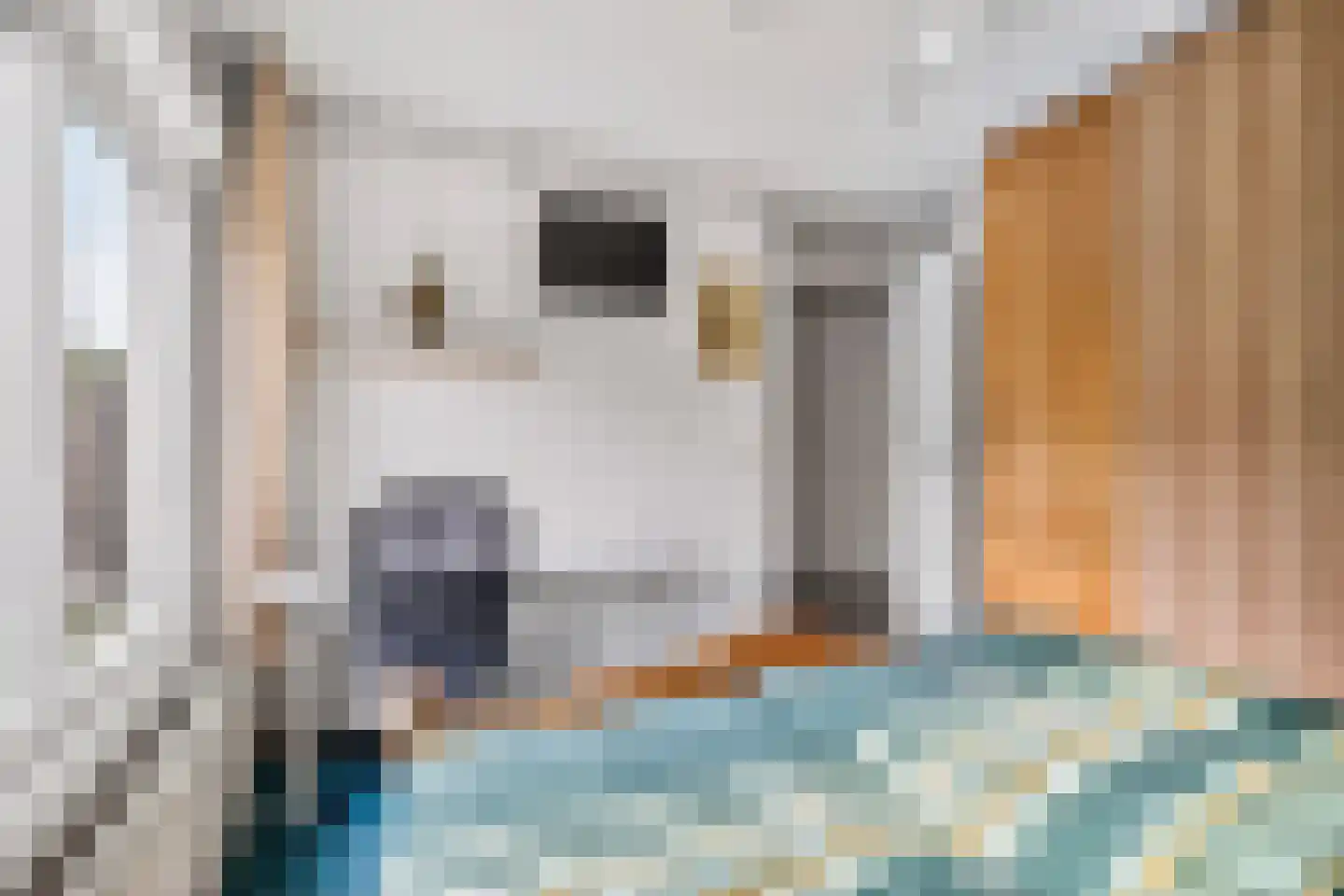 Hoochbeen 12 Veenendaal thumbnail 18