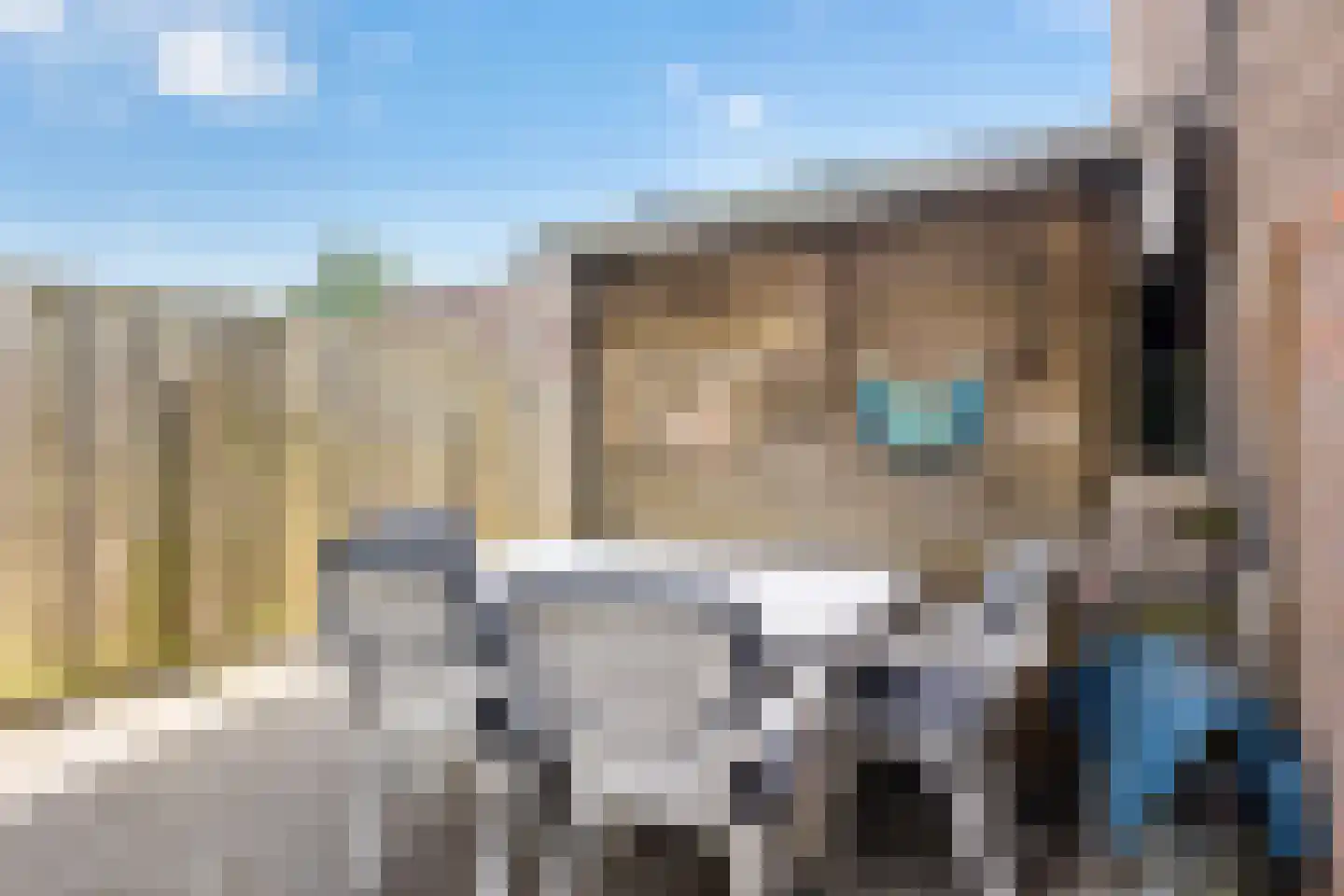 Hoochbeen 12 Veenendaal thumbnail 27