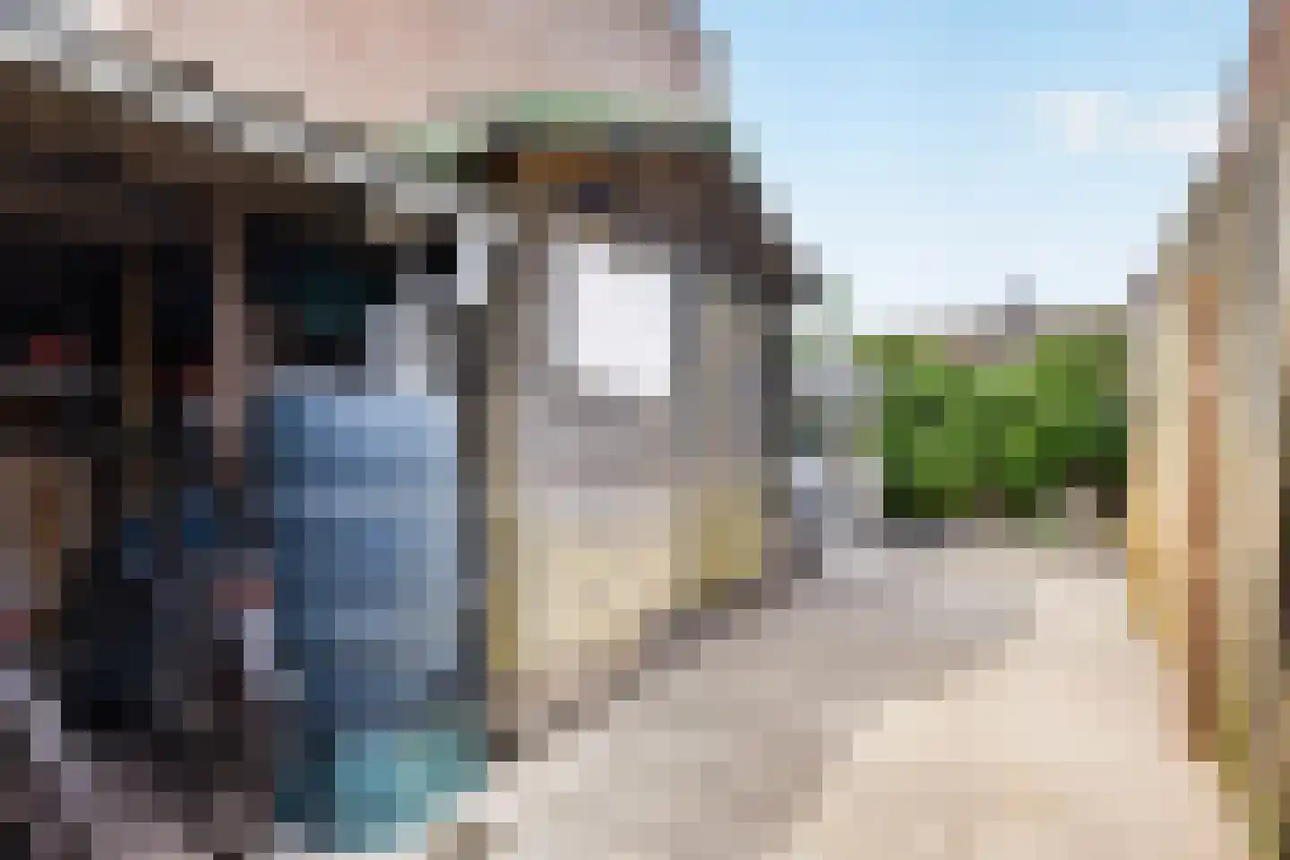 Hoochbeen 12 Veenendaal thumbnail 29