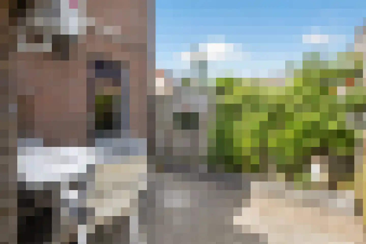 Hoochbeen 12 Veenendaal thumbnail 30