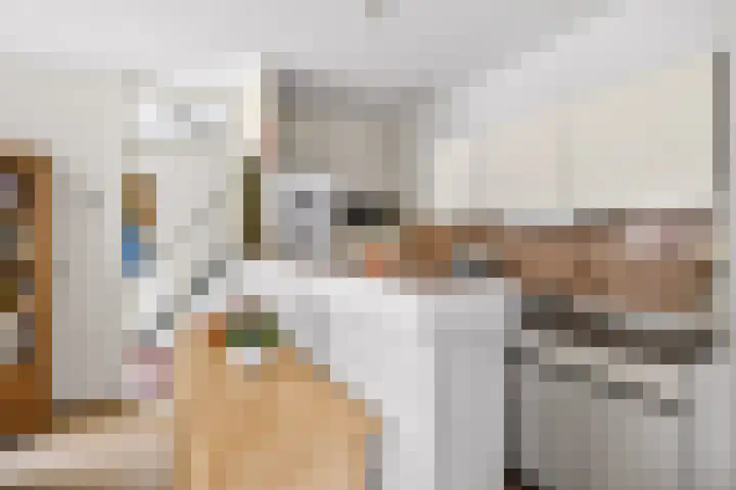 Hoochbeen 12 Veenendaal thumbnail 8