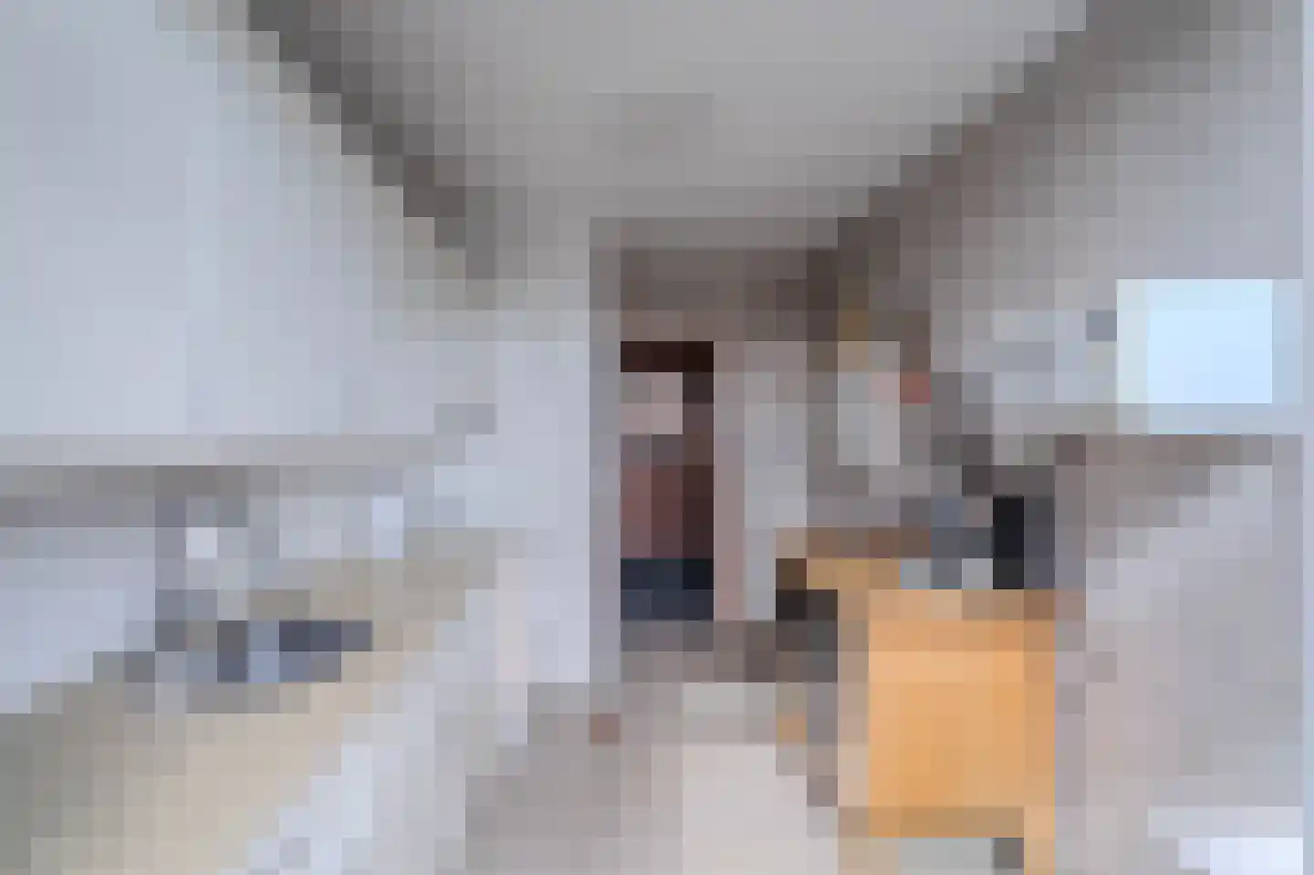 Hoofd 22 Zuidland thumbnail 18