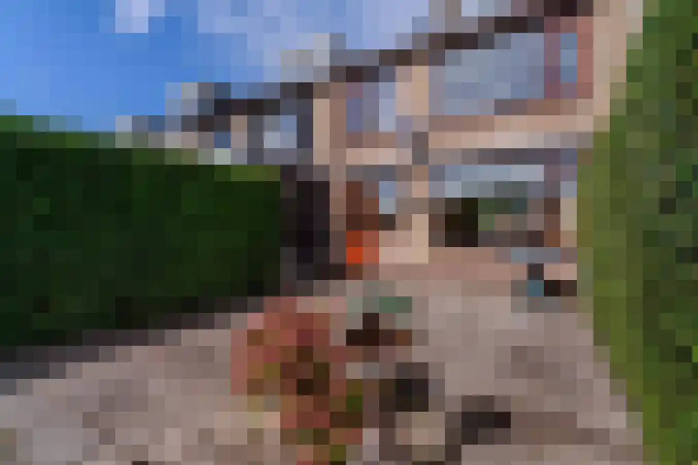 Hoofd 22 Zuidland thumbnail 21