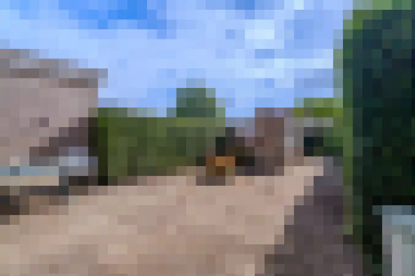 Hoofd 22 Zuidland thumbnail 23