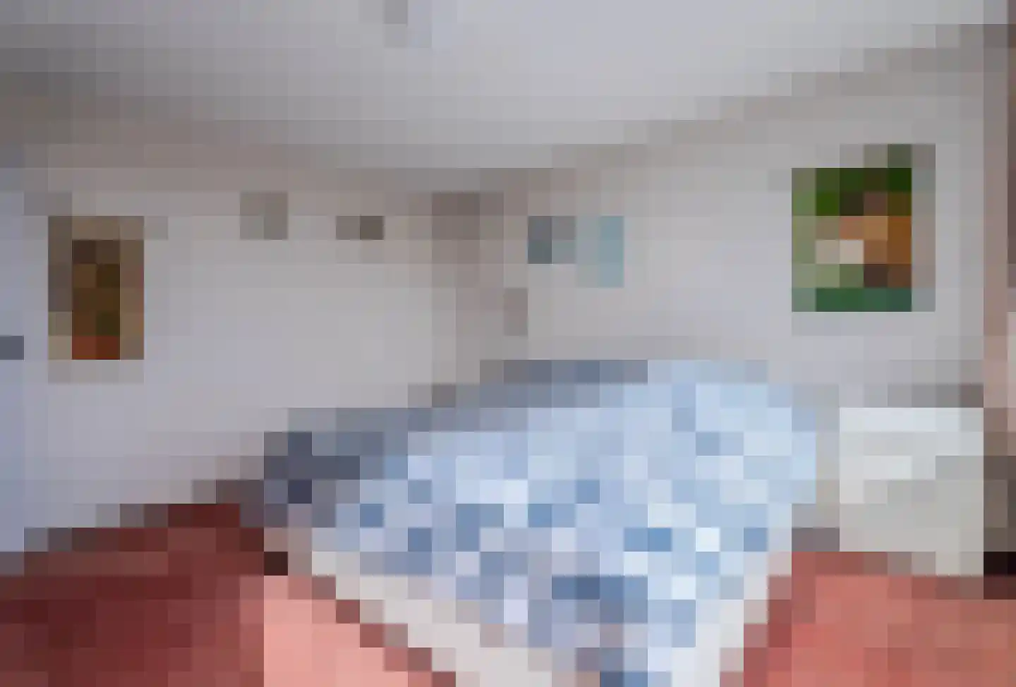 Hoofd 22 Zuidland thumbnail 26