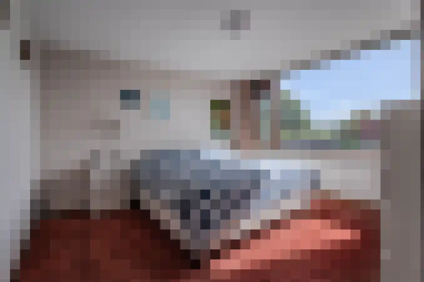 Hoofd 22 Zuidland thumbnail 27