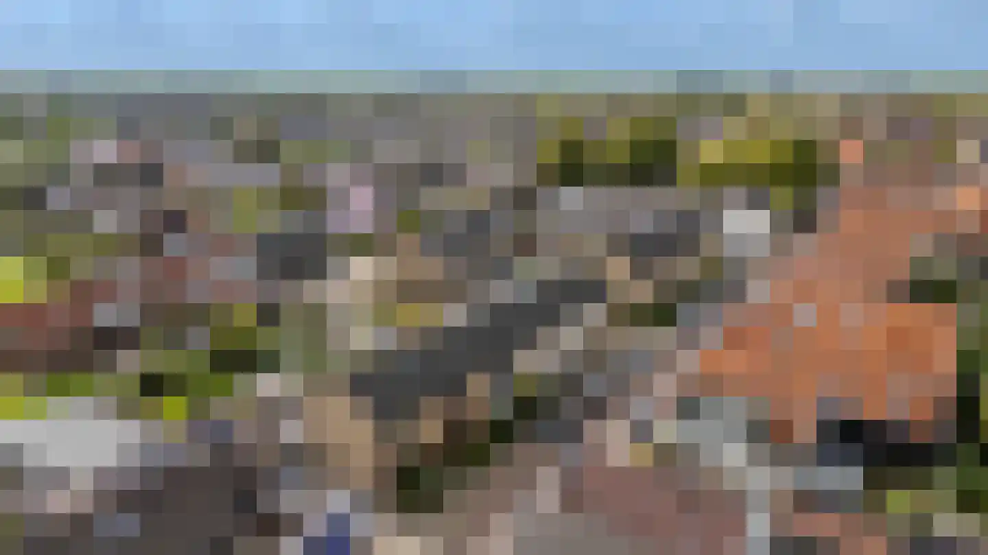 Hoofd 22 Zuidland thumbnail 39