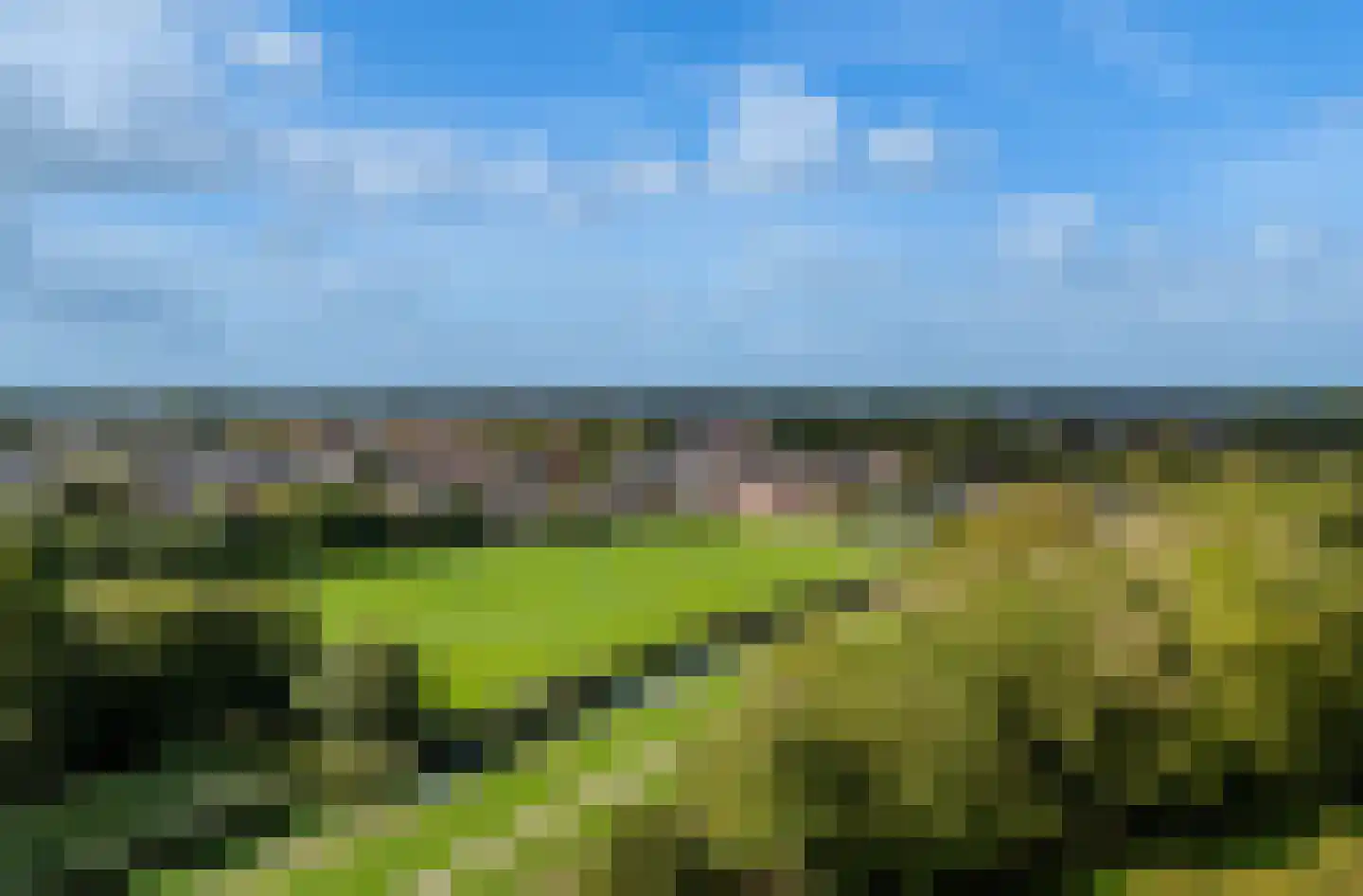 Hoofd 22 Zuidland thumbnail 40
