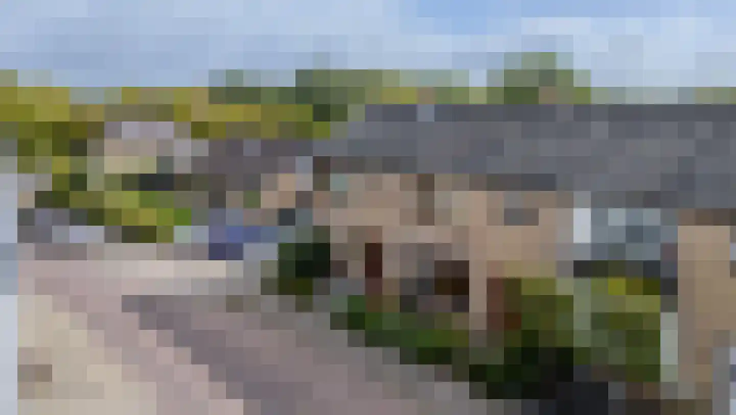 Hoofd 22 Zuidland thumbnail 9