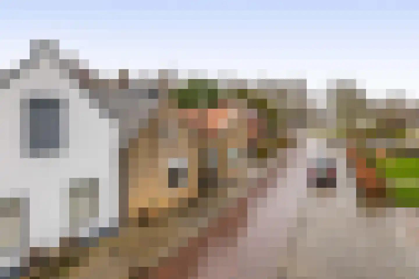 Hoofd 27 Zuidland thumbnail 10
