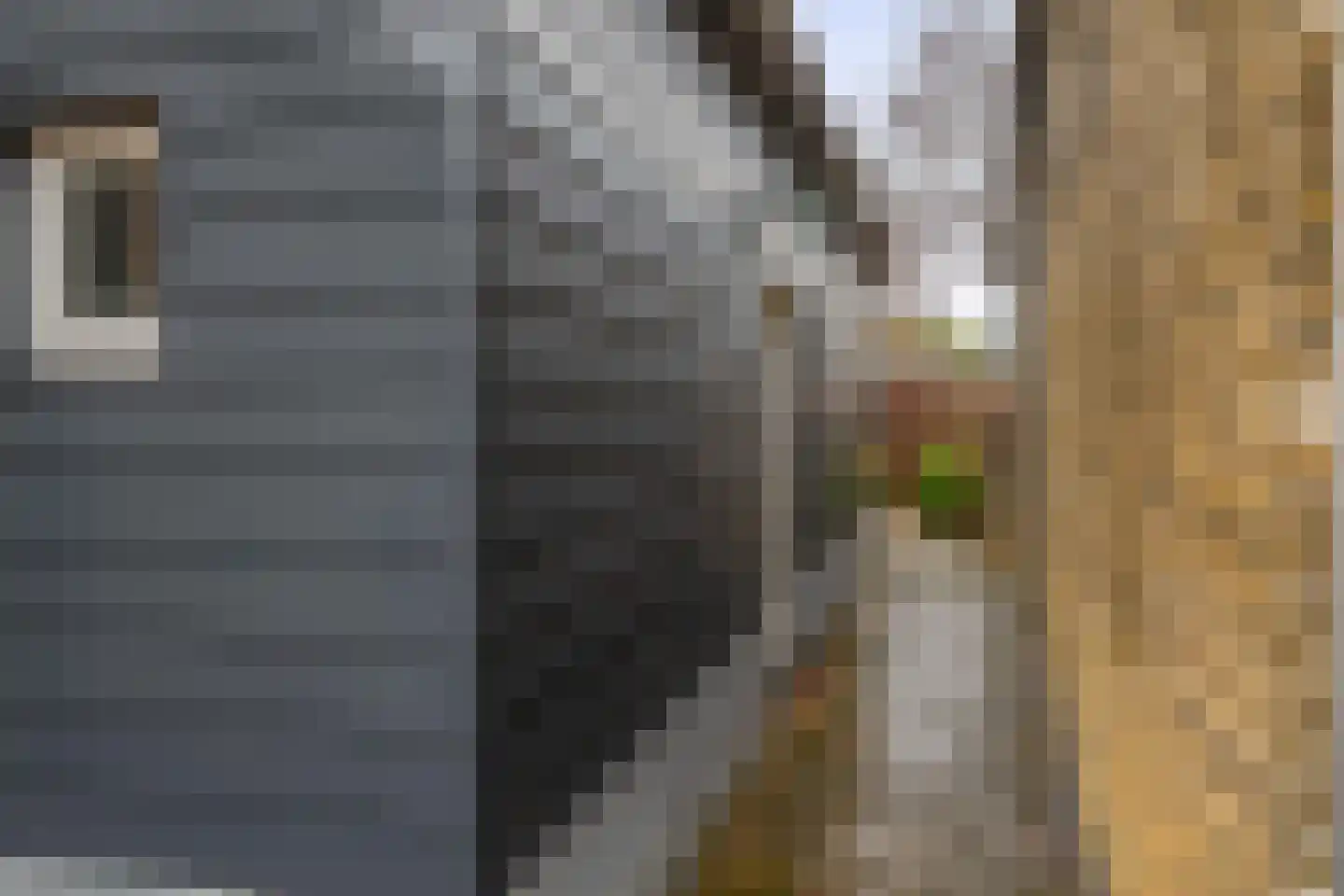 Hoofd 27 Zuidland thumbnail 11