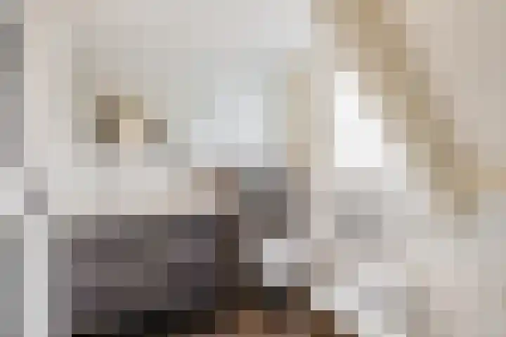Hoofd 27 Zuidland thumbnail 29