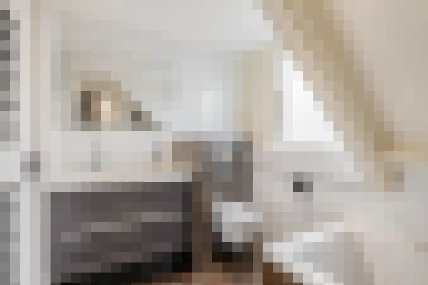 Hoofd 27 Zuidland thumbnail 30