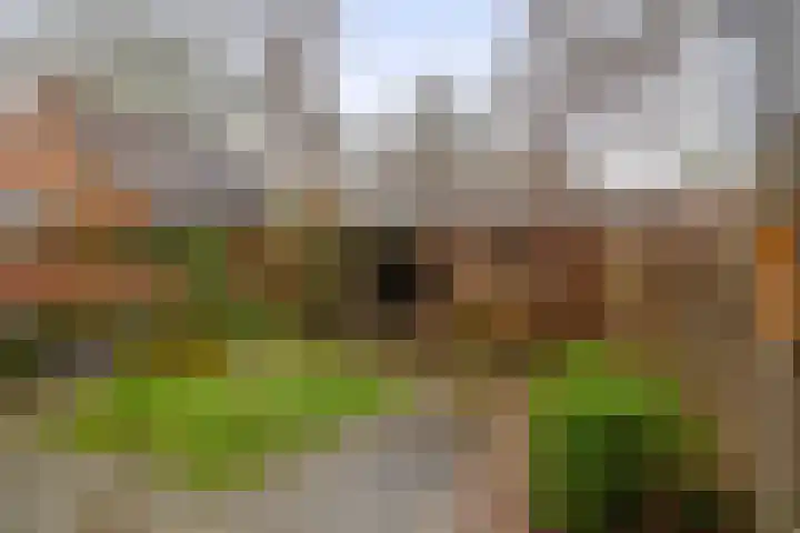 Hoofd 27 Zuidland thumbnail 33