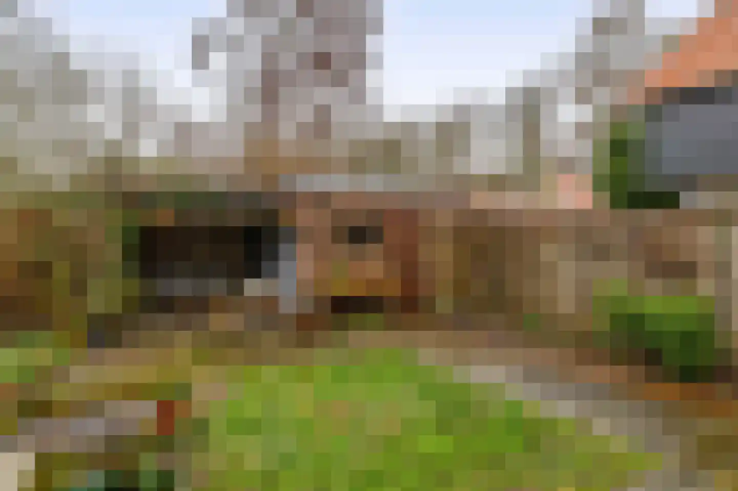 Hoofd 27 Zuidland thumbnail 35