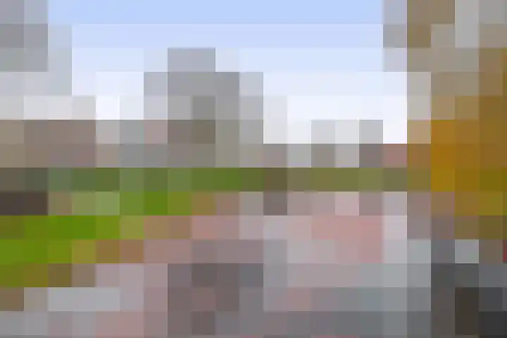 Hoofd 27 Zuidland thumbnail 36