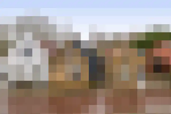 Hoofd 27 Zuidland thumbnail 5