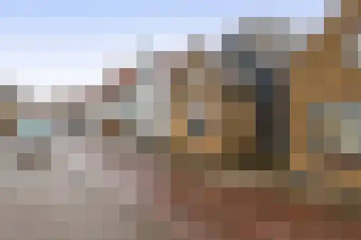 Hoofd 27 Zuidland thumbnail 6