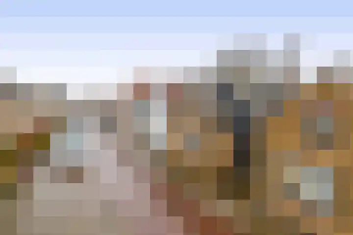 Hoofd 27 Zuidland thumbnail 7