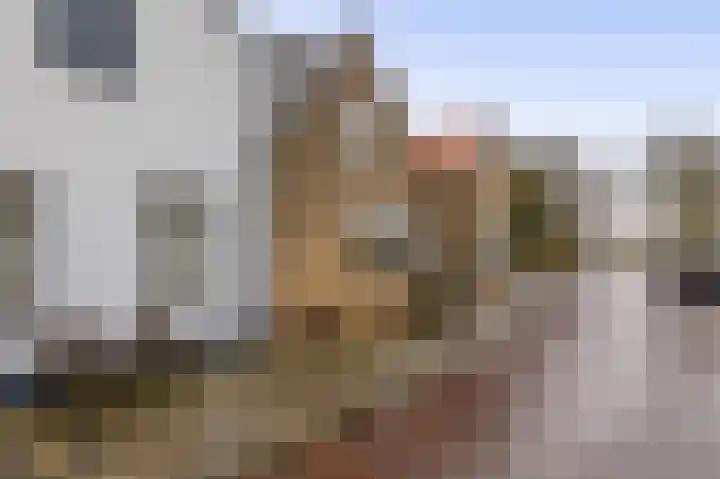 Hoofd 27 Zuidland thumbnail 8