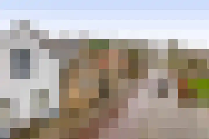 Hoofd 27 Zuidland thumbnail 9