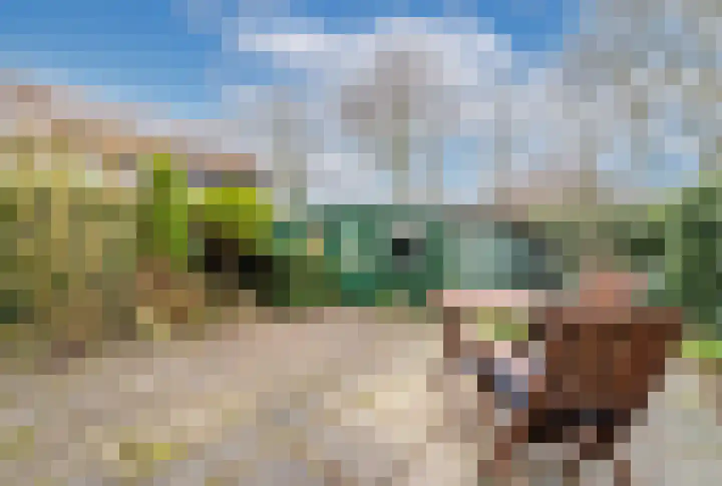Hoofd 7 Zuidland thumbnail 19