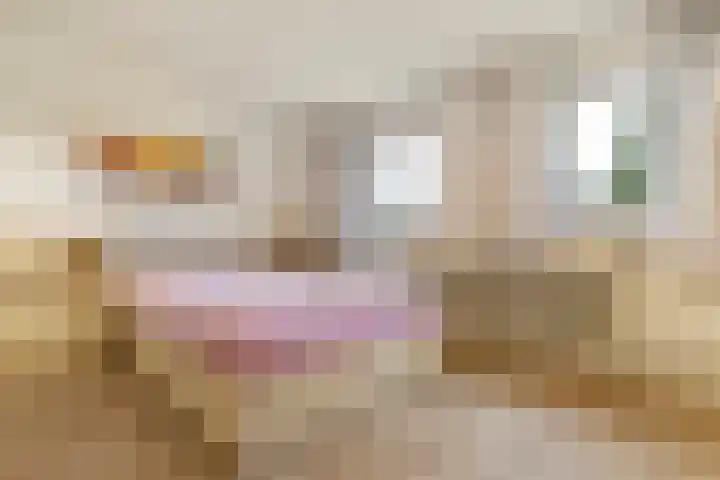 Hoofdbank 17 Klimmen thumbnail 15