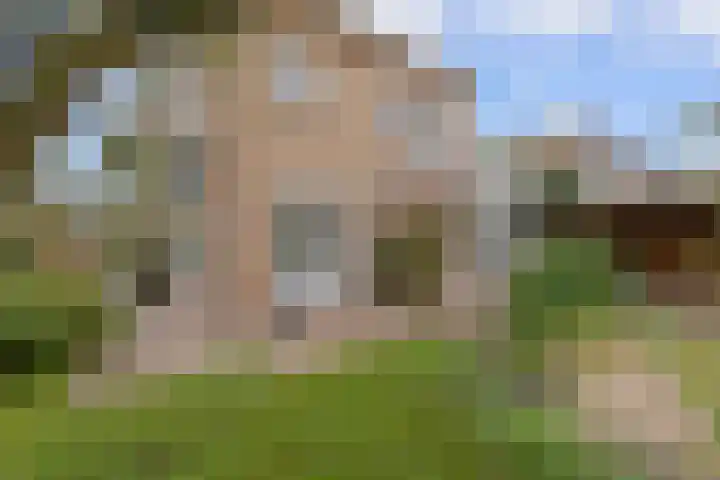 Hoofdbank 17 Klimmen thumbnail 22